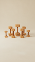Dumbbell Set